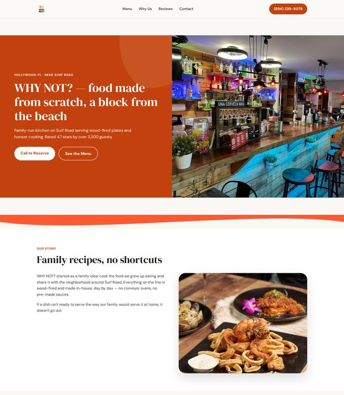WHY NOT? website concept